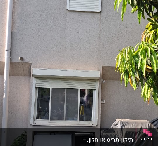 תריסים סגורים על קיר חיצוני עם צמח ירוק
